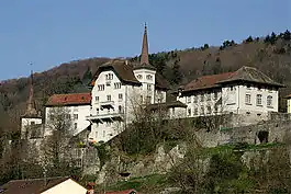 Château de Carrouge