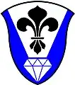 H R Stockdale Nursing College (South Africa): Azure, on a pile argent, the point couped, a fleur-de-lis sable, in base a cut diamond argent.