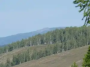 Bashkiriya Zapovednik