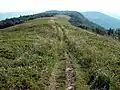 Hiking trail in the National Park.