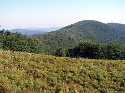 View of the Bukovské vrchy mountain range.