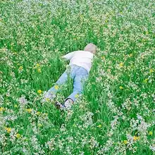 A blonde male, Porter Robinson, laying in a field of grass and flowers.