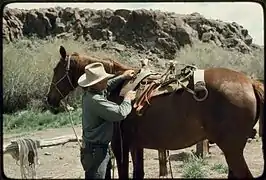 Pack saddle horse on the Grayson Ranch.