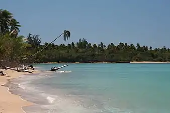 Beach at Puerto Real