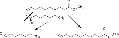 Pyrolyse von Ricinolsäuremethylester