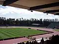 View towards the east end of the Queen Elizabeth II Park, from the main stand