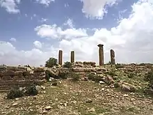 Image 2Pre-Axumite monolithic columns in Qohaito (from History of Eritrea)