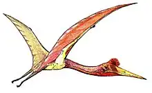 Quetzalcoatlus