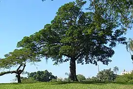 Palace grounds