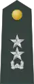 Junior General