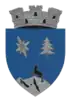 Coat of arms of Borșa