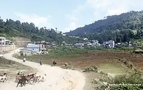 Raja Rani Dhankuta by Thulung Photo