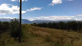 Fields and apple orchards of Rajca