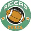 Team logo