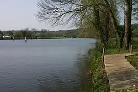 The River Thames above Mapledurham Lock