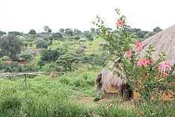 Houses along the road from Pweto to Dubie, Katanga