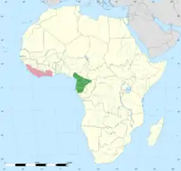 A map of Africa highlighting the distribution of the white-necked rockfowl near the coast line of West Africa from Guinea to Ghana.