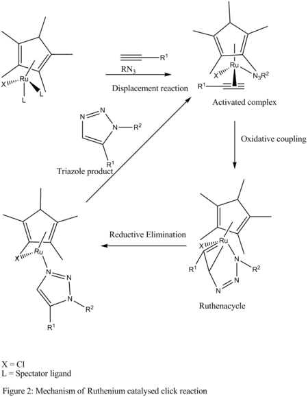 Mechanism for ruthenium-catalysed click chemistry