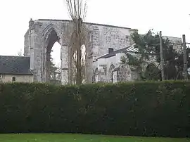 Ruins of the priory of Salseuse