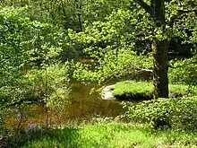 Small river in Creuse