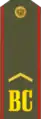 Service uniform yefreytorof the Army and SMF(1994−2010)