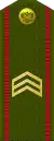 СяржантSiaržant(Belarusian Ground Forces)