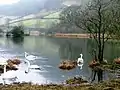 Eastern end of Rydal Water.