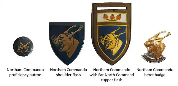 SADF era Northam Commando insignia