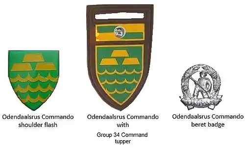 SADF era Odendaalsrus Commando insignia