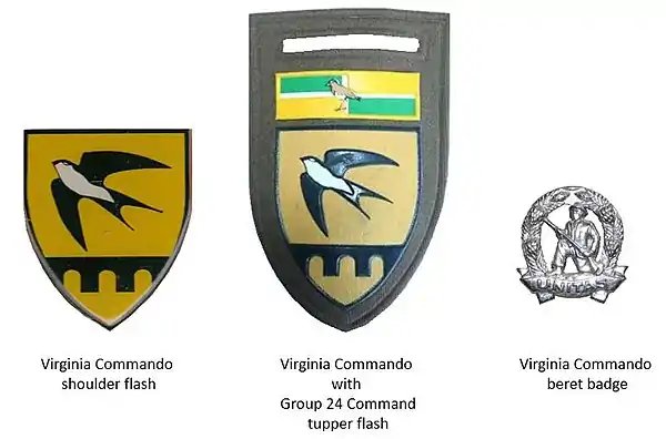 SADF era Virginia Commando insignia