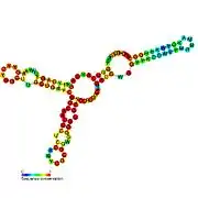 SAM-IV riboswitch:  Secondary structure for the riboswitch marked up by sequence conservation. Family RF00634.