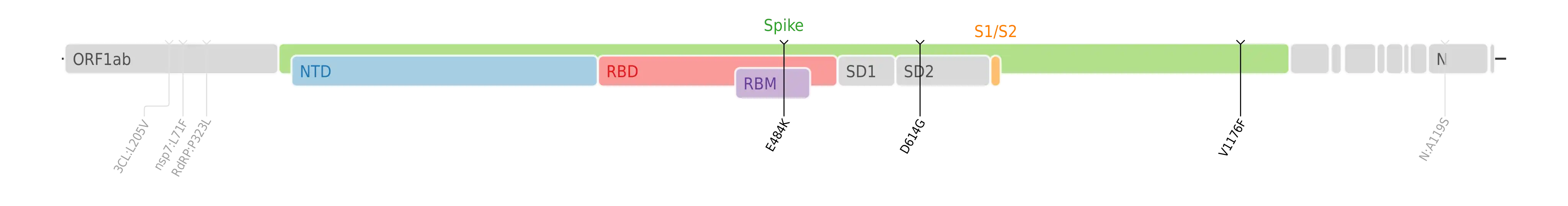 Amino acid mutations of SARS-CoV-2 Zeta variant plotted on a genome map of SARS-CoV-2 with a focus on the spike.