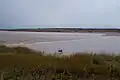 Salmon River tidal bore