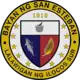 Official seal of San Esteban