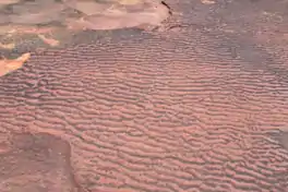 Devils Island Sandstone Ripples