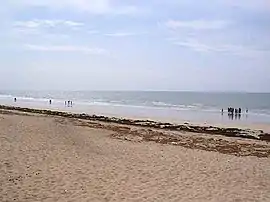 View of Sandspit Beach