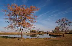 Schoneman County Park in Luverne Township