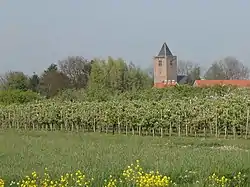 Protestant Church Nieuwland