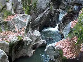 Sculptured Rocks, Cockermouth River