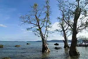 Seascape at Chidiyatapu, Andaman islands