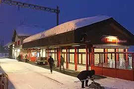 The station in winter