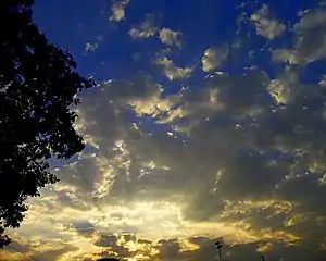 Stratocumulus stratiformis perlucidus before sunset. Bangalore, India.