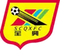 Sichuan Quanxing logo