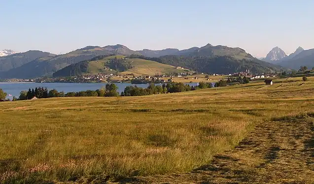 Image 15Northern shore meadows of Sihlsee, an artificial lake near Einsiedeln in the Canton of Schwyz, Switzerland. (Credit: Markus Bernet.) (from Portal:Earth sciences/Selected pictures)