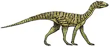 Silesaurus opolensis