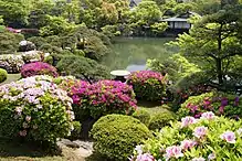 Azaleas at Soraku-en Garden