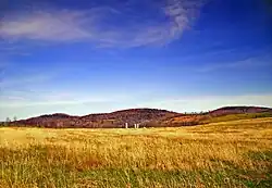 A farm in Delmar Township