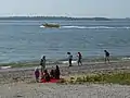 Visitors on the beach