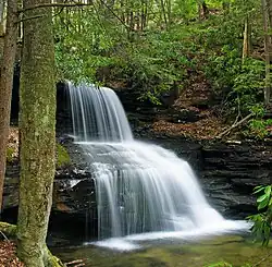 Round Island Run Falls within Sproul State Forest