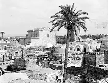 Ancient buildings, several with domed roofs, a church in the background, and palm trees.